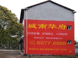 阜宁县百分之90的人都不了解的农村墙体广告