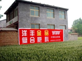阜宁县如何让墙体广告展现最大化效果