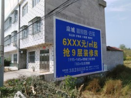 阜宁县墙体广告质量分析