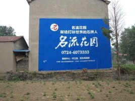 阜宁县农村墙体广告的长尾效应