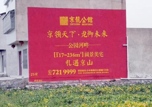 阜宁县墙体广告发布的关键问题