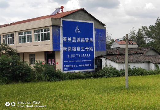 阜宁县决定墙体广告价格的因素有哪些？